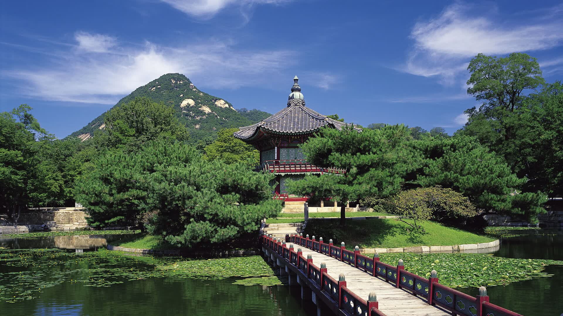 世界板球校园推广教材与师训计划启动,板球是世界第几大运动